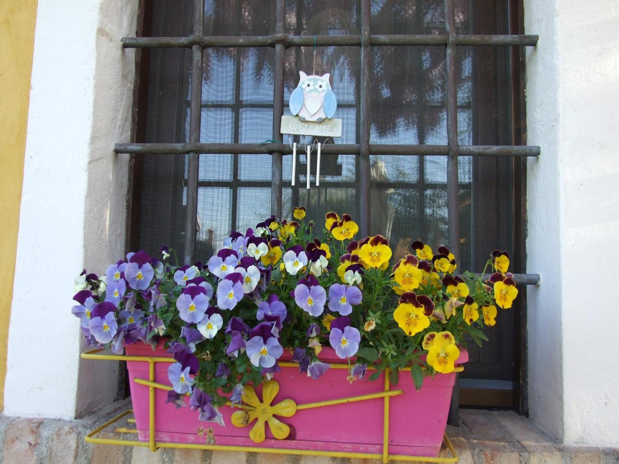 B&B Casacasina Monzambano Esterno foto