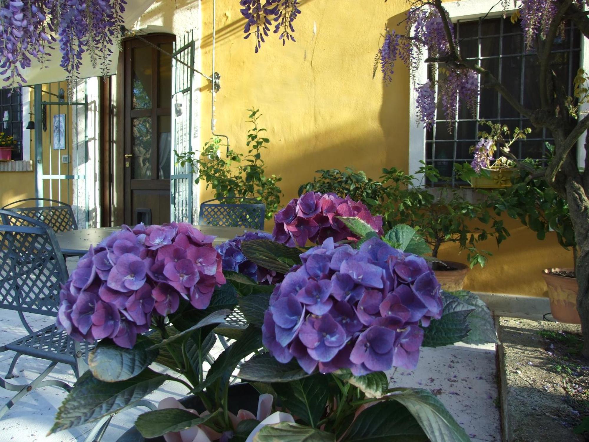 B&B Casacasina Monzambano Esterno foto